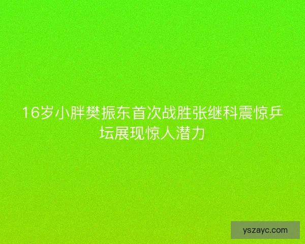 16岁小胖樊振东首次战胜张继科震惊乒坛展现惊人潜力