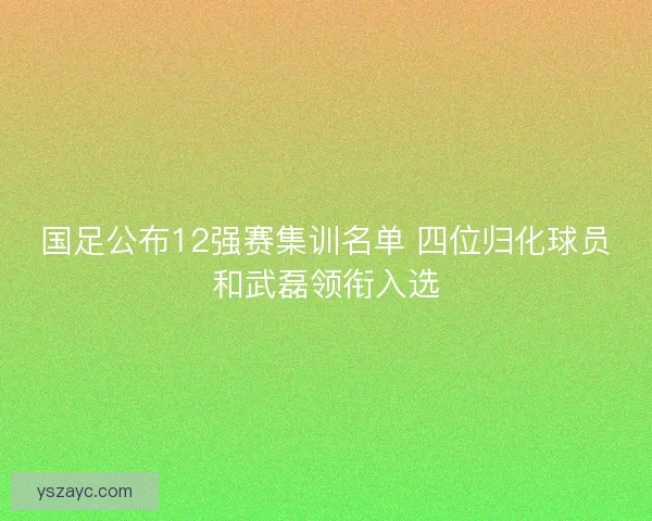国足公布12强赛集训名单 四位归化球员和武磊领衔入选