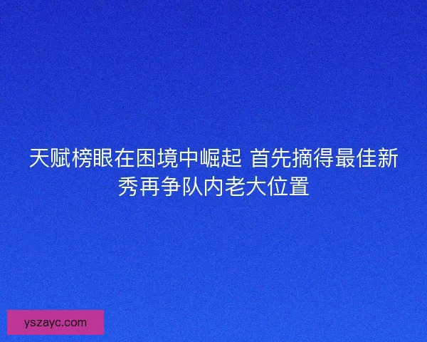 天赋榜眼在困境中崛起 首先摘得最佳新秀再争队内老大位置 天赋榜眼在困境中崛起 首先摘得最佳新秀再争队内老大位置